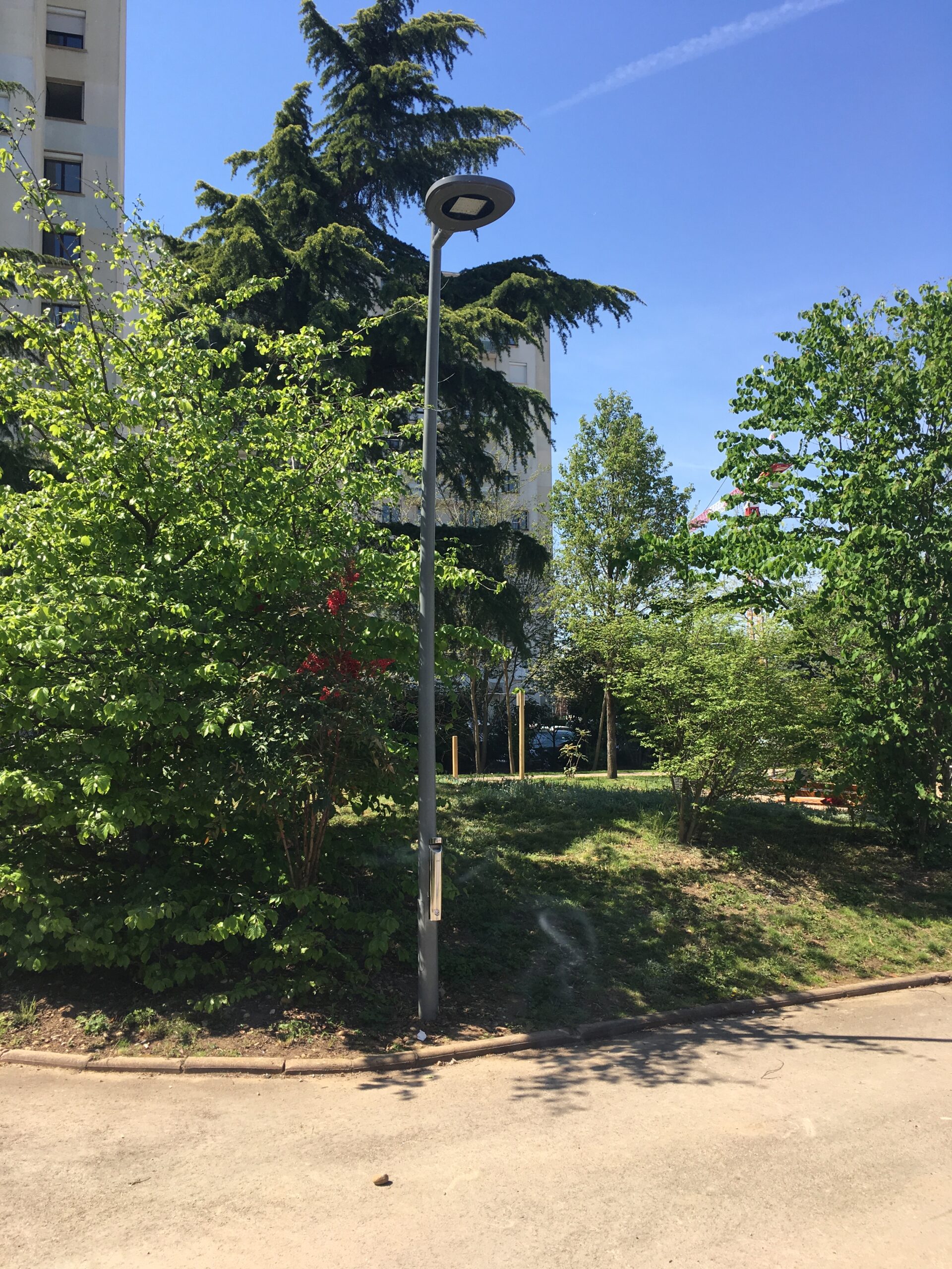 Description de l'image